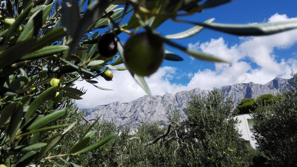 Apartmani Sabic A6 Makarska Esterno foto